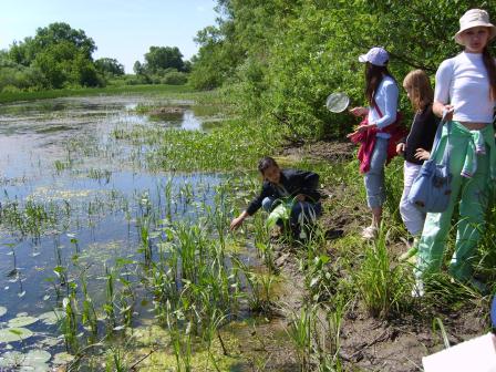 Экологические исследования